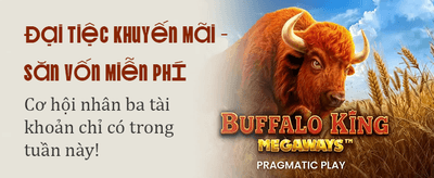 Trải Nghiệm Sòng Bạc Đỉnh Cao